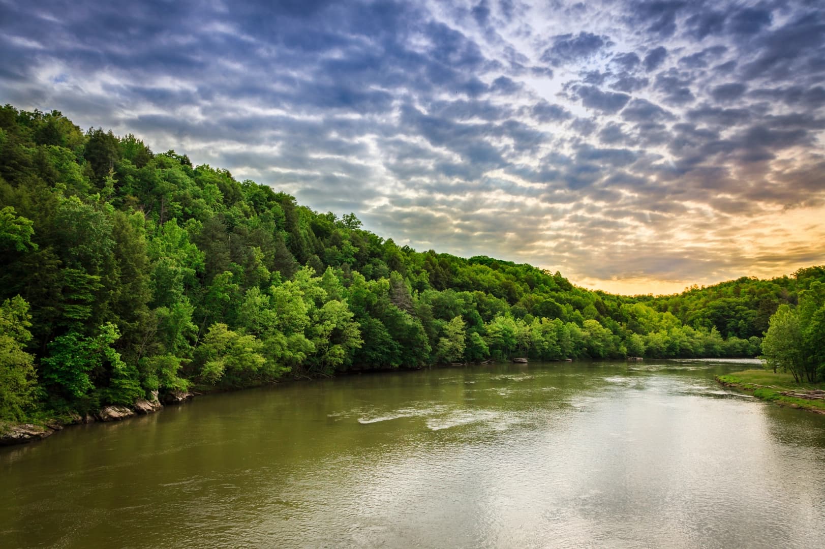 Cumberland River Pedestrian Bridge