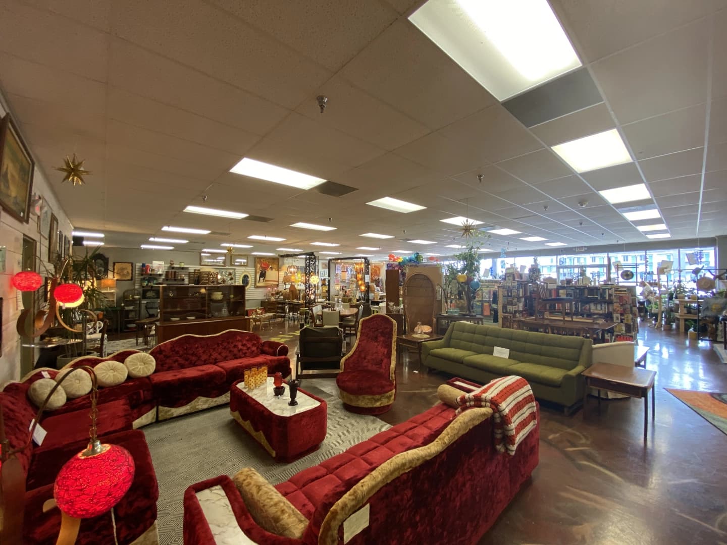 Dashwood Vintage & Flora