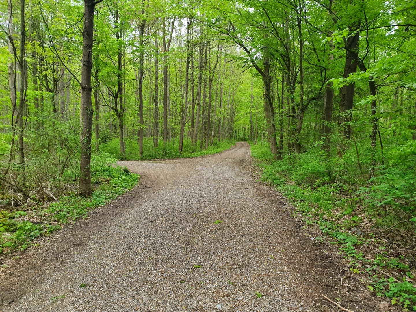 Edwin and Percy Warner Parks