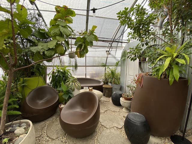 Greenhouse Bar