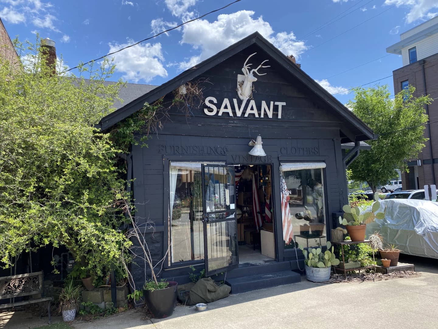 Savant Vintage