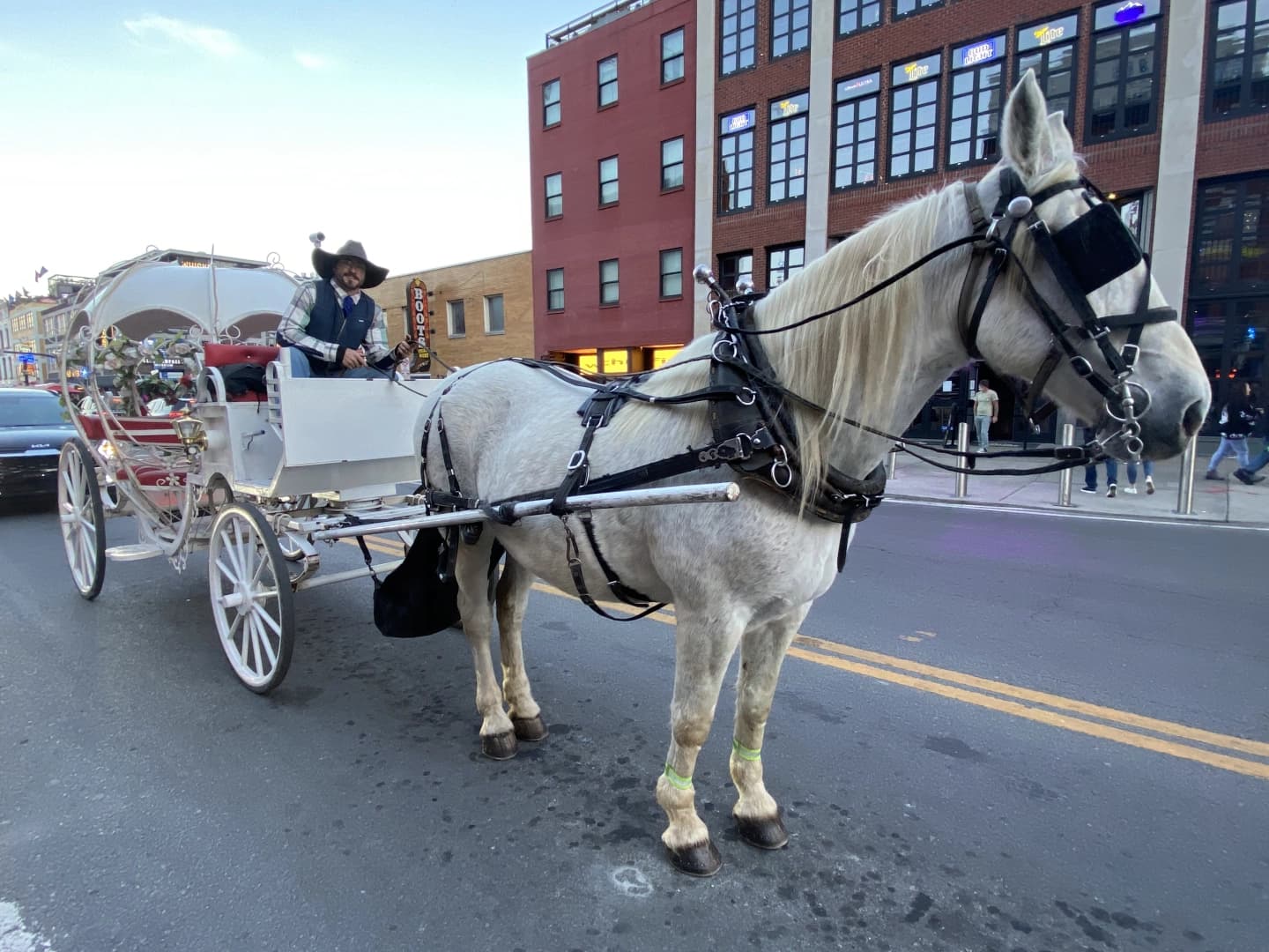 Sugar Creek Carriages