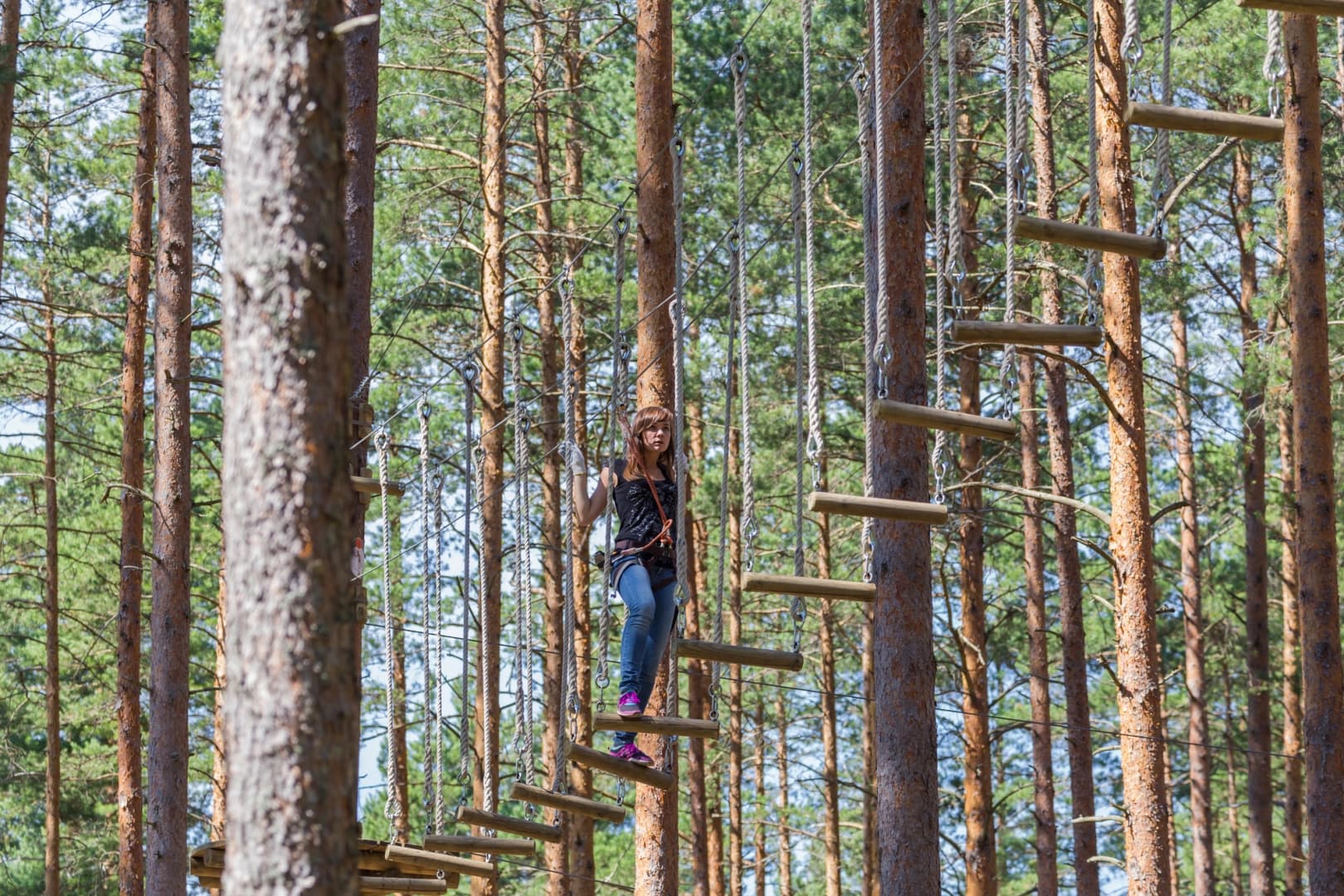 The Adventure Park at Nashville