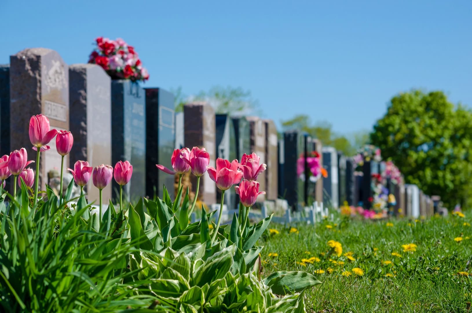 Woodlawn Cemetery